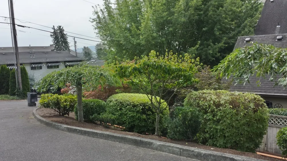 Custom landscape installation for beautiful yards across Vancouver, WA - Hope Landscaping LLC