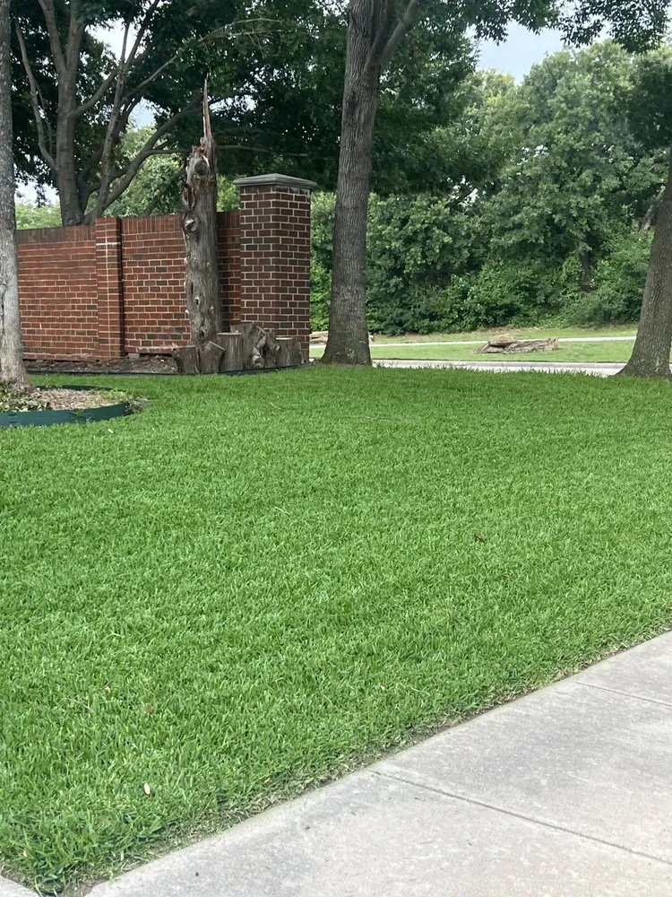 Expert yard maintenance near you in Flower Mound, TX by Hope Lawns
