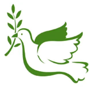 Trusted landscaping services with custom design across Flower Mound, TX - Hope Lawns