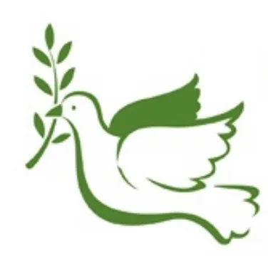 Local garden landscaping for outdoor upgrades in Flower Mound, TX by Hope Lawns