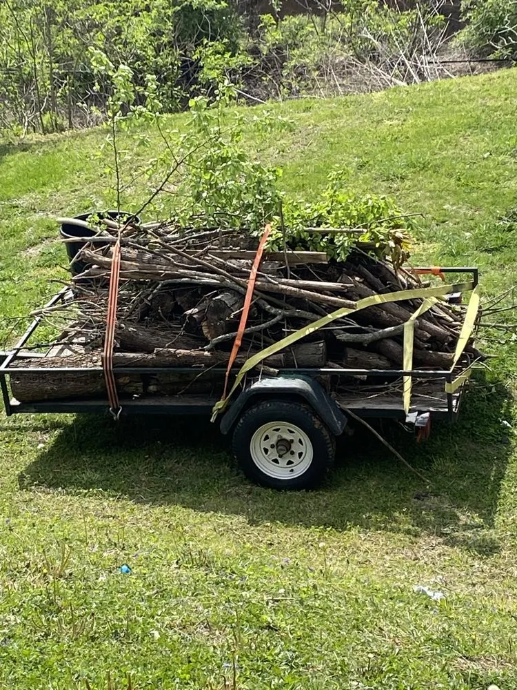 Trusted landscape design experts serving Caryville, TN - HOPE Property Care