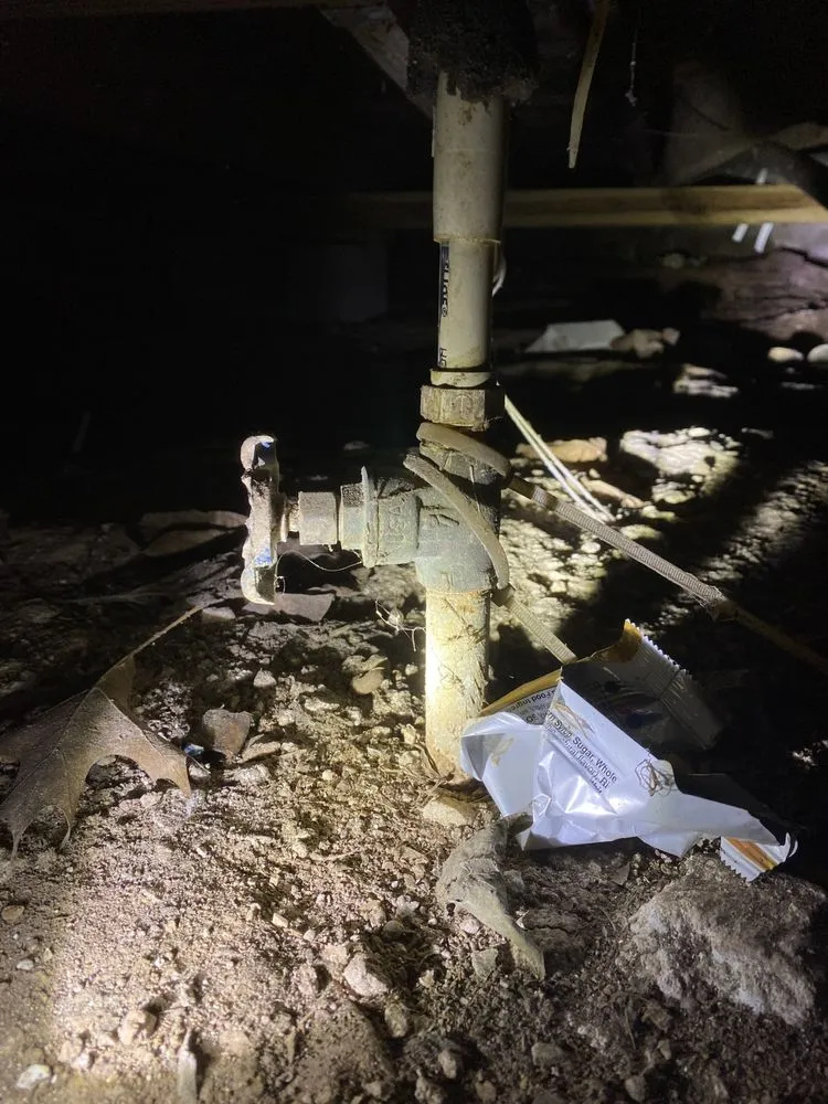 Affordable lawn care service for beautiful yards in Caryville, TN by HOPE Property Care