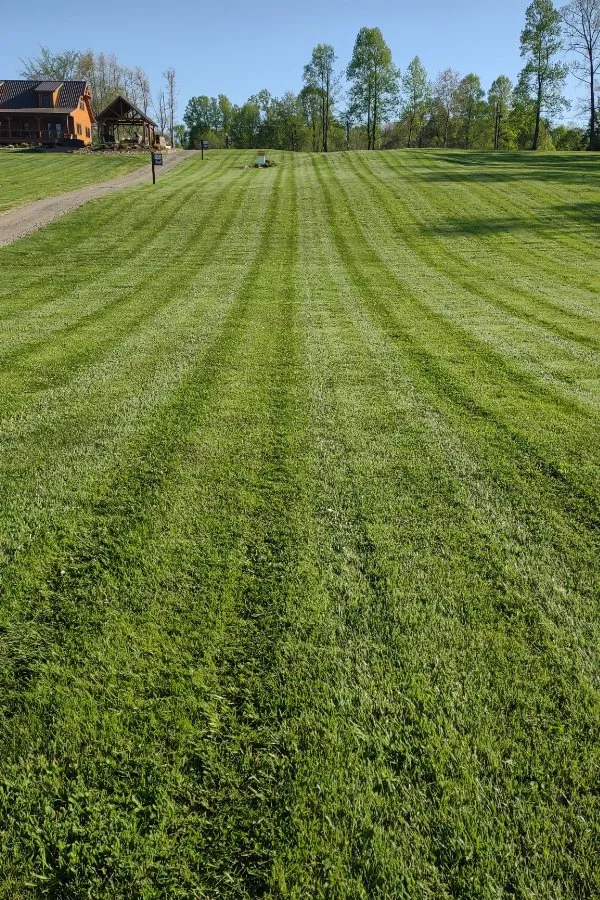 Reliable lawn mowing service for beautiful yards across Maryville, TN - Hope Scapes