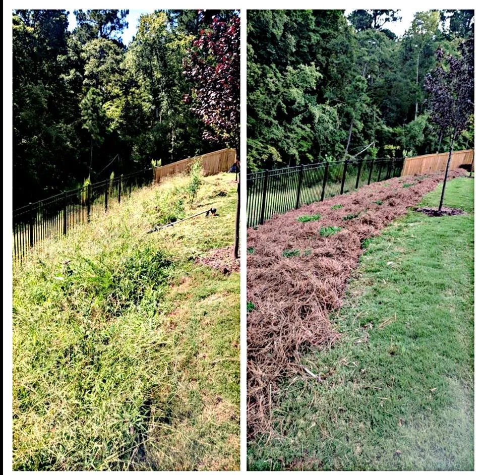 Top-rated yard maintenance for residential properties across Durham, NC - Hope Valley Lawn and Landscape