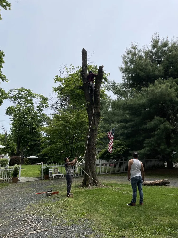 Local landscape design experts serving Middletown Township, NJ - Hope's Landscaping