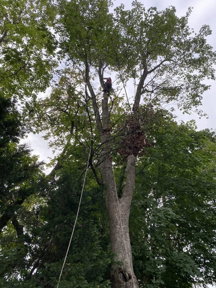 Expert landscaping services in Middletown Township, NJ - Hope's Landscaping