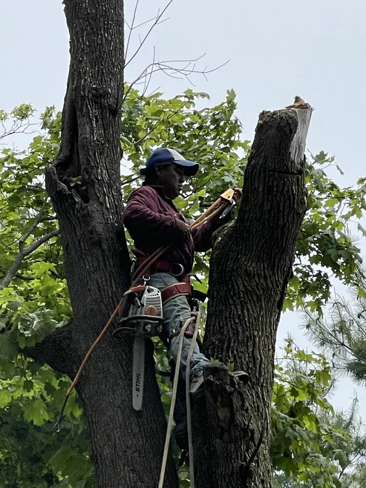 Trusted garden landscaping for year-round maintenance across Middletown Township, NJ - Hope's Landscaping