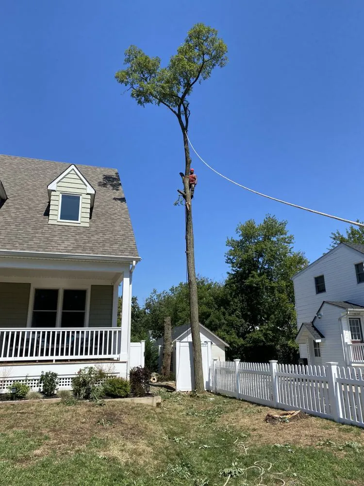 Local lawn mowing service in Middletown Township, NJ by Hope's Landscaping