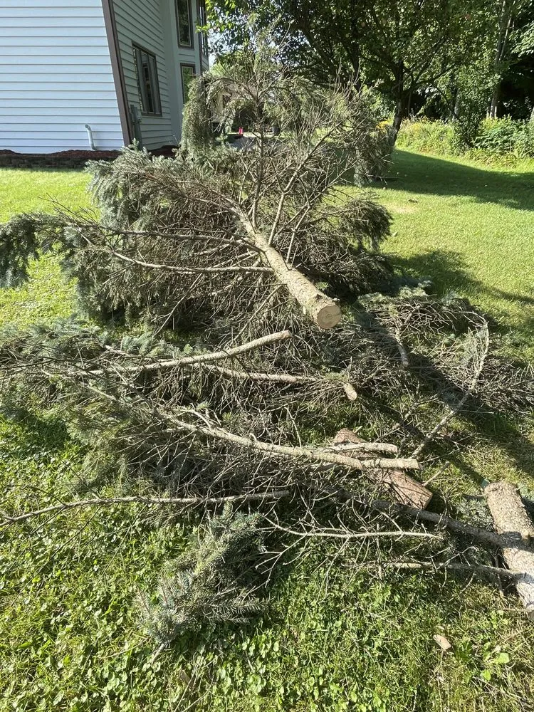 Local landscape design in Milwaukee, WI by Hopkins Handiwork