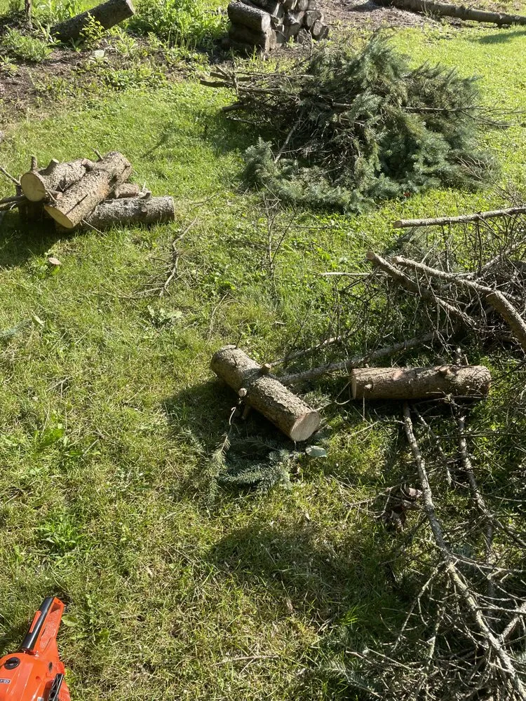 Reliable lawn mowing service with custom design across Milwaukee, WI - Hopkins Handiwork