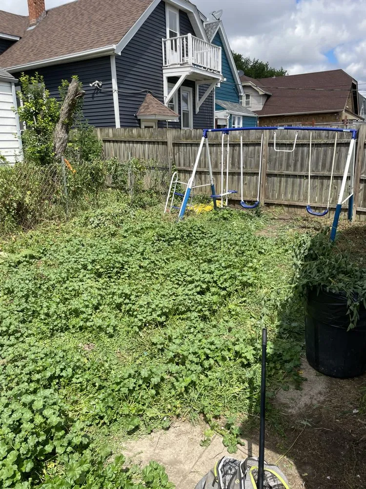 Expert yard cleanup service in Milwaukee, WI by Hopkins Handiwork