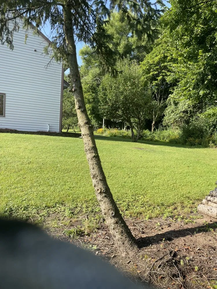 Reliable yard cleanup service experts serving Milwaukee, WI - Hopkins Handiwork