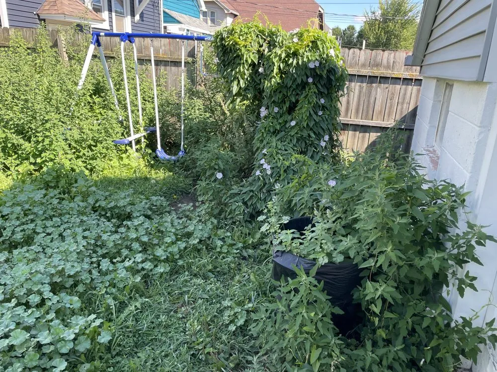 Expert lawn care service for year-round maintenance across Milwaukee, WI - Hopkins Handiwork