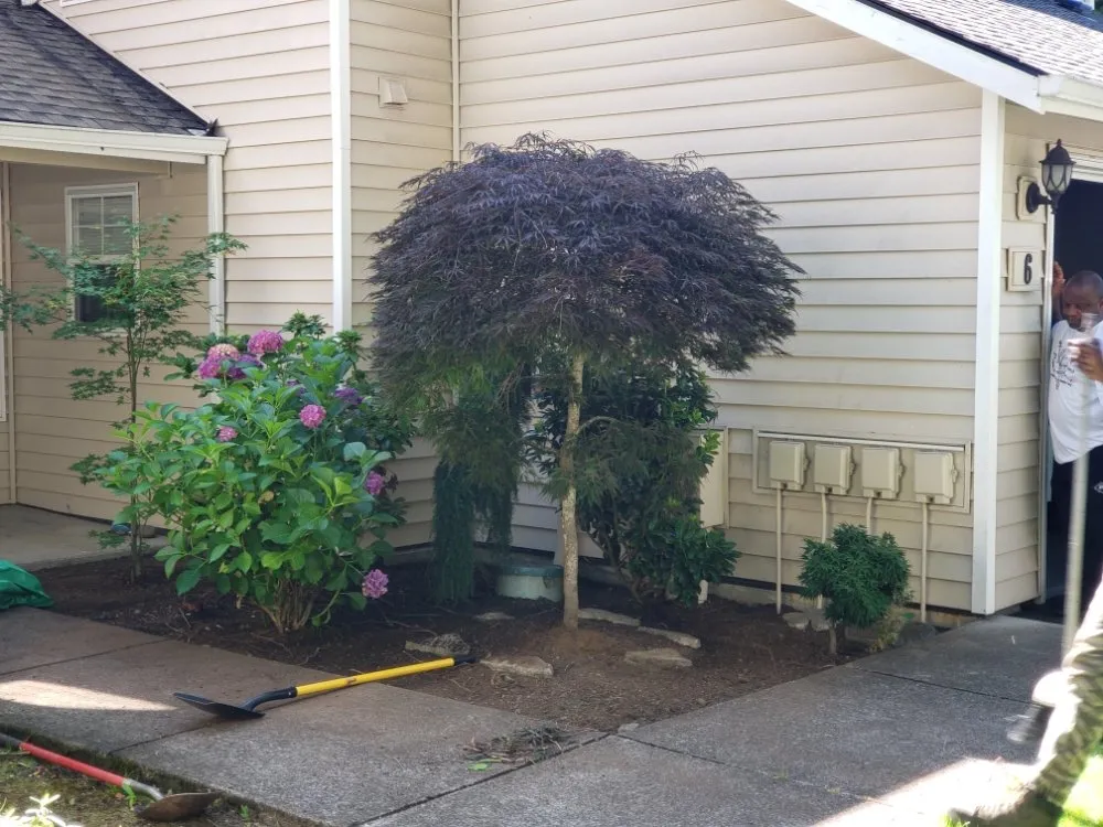 Trusted landscaping services in Portland, OR by Hopkins PDX Services