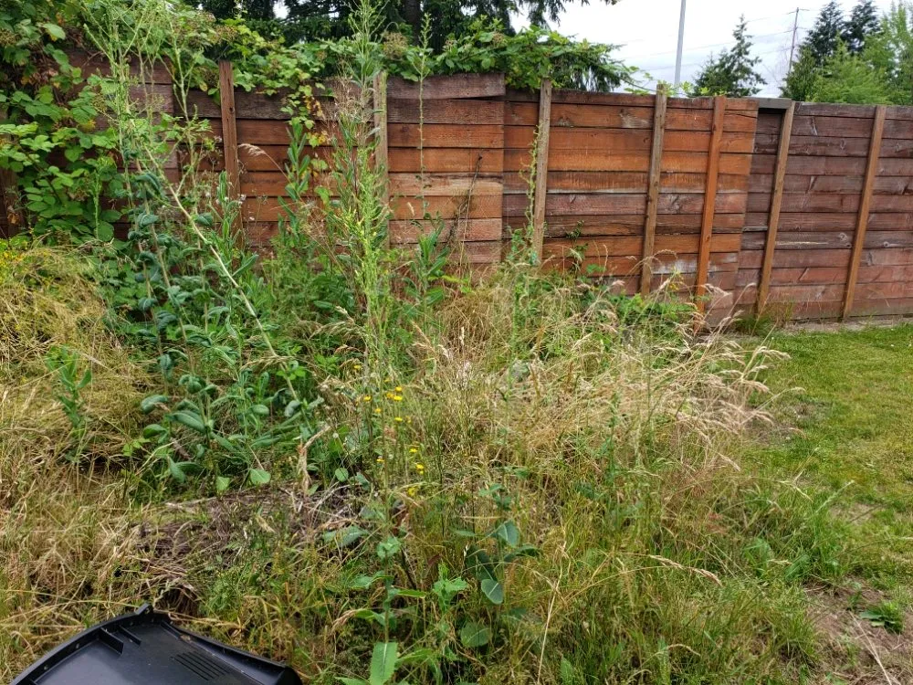 Professional residential landscaping for outdoor upgrades across Portland, OR - Hopkins PDX Services