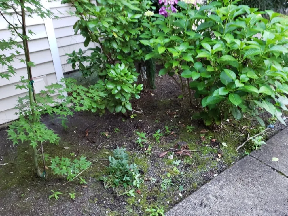 Affordable residential landscaping near you across Portland, OR - Hopkins PDX Services