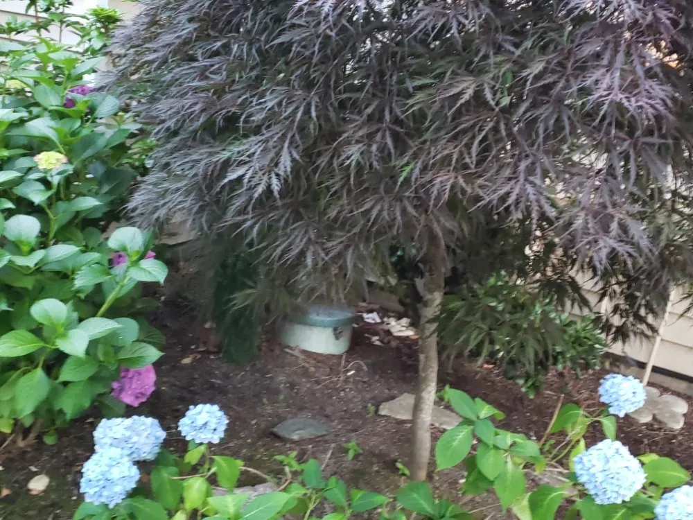 Professional landscaping services in Portland, OR - Hopkins PDX Services