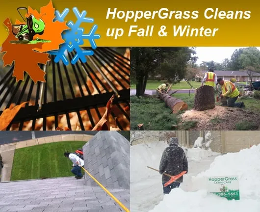 Expert yard maintenance in Bowie, MD by HopperGrass Lawn Care