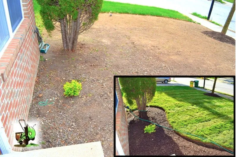 Affordable lawn care service in Bowie, MD by HopperGrass Lawn Care