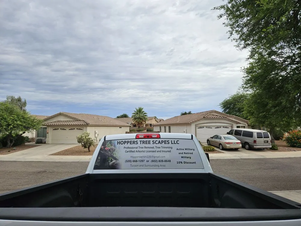 Reliable yard cleanup service for homes across Oro Valley, AZ - Hoppers Treescapes