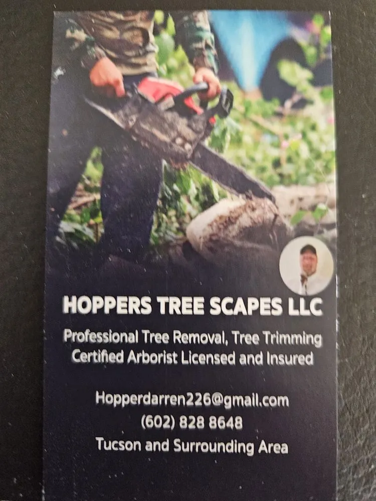 Local landscape design experts serving Oro Valley, AZ - Hoppers Treescapes
