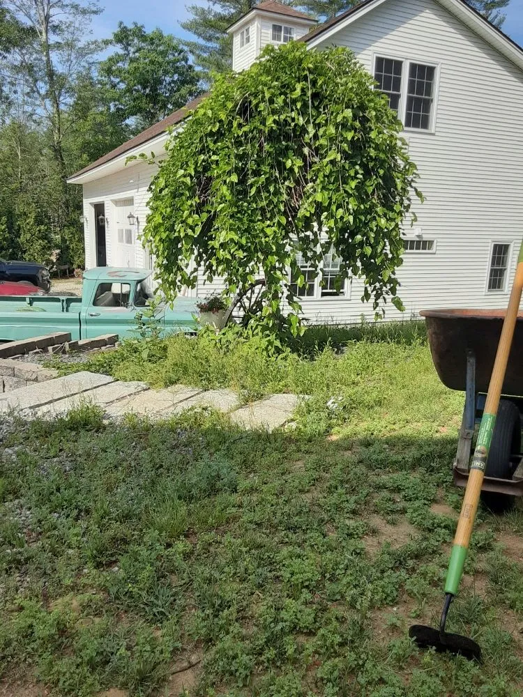 Top-rated landscape installation in Windsor, NH by Hoppie's Professional Services Lawn Care + Landscaping