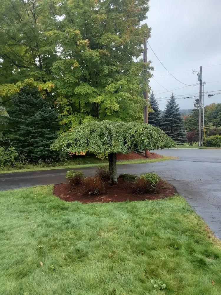 Custom lawn care service with custom design across Windsor, NH - Hoppie's Professional Services Lawn Care + Landscaping