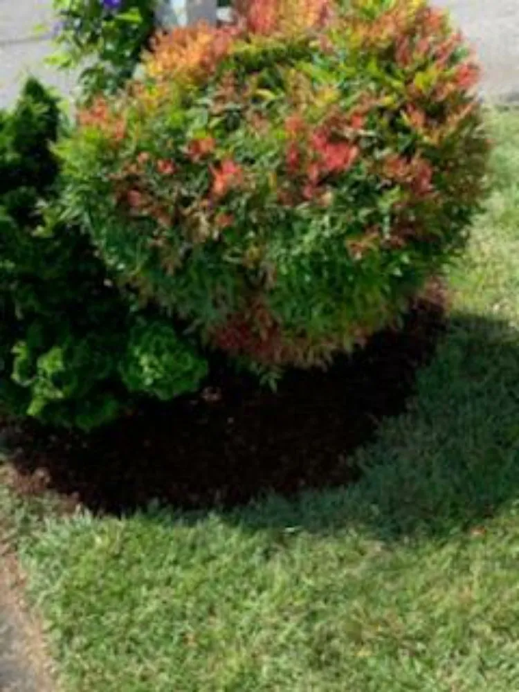 Custom outdoor landscaping in Roanoke, VA by Hopsicker Lawn Care Services