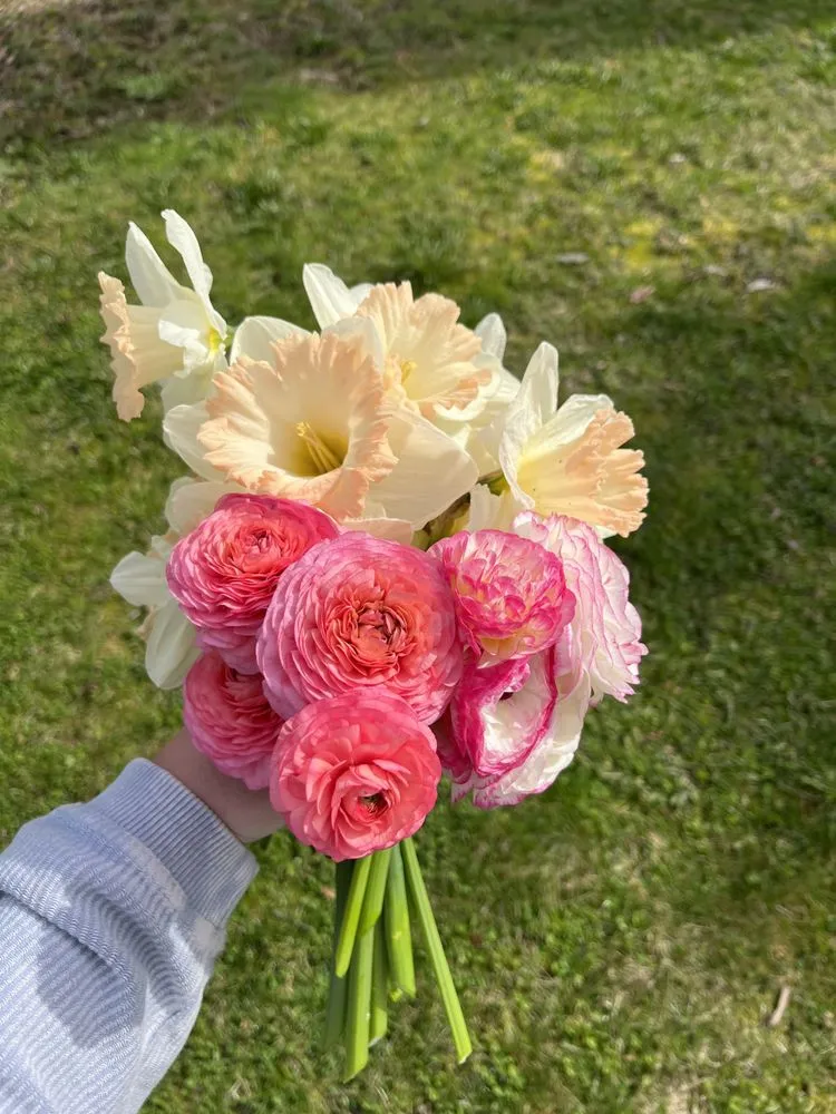 Top-rated landscaping services experts serving Essex, MA - Horizon Gardens