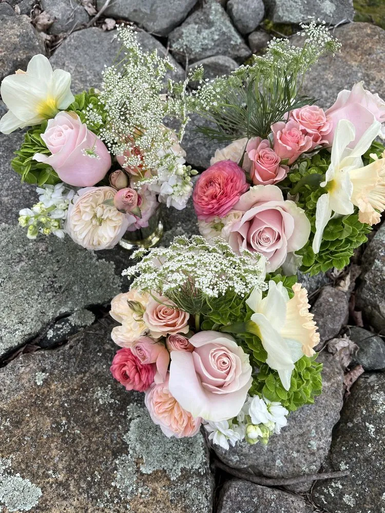 Reliable yard maintenance for beautiful yards across Essex, MA - Horizon Gardens