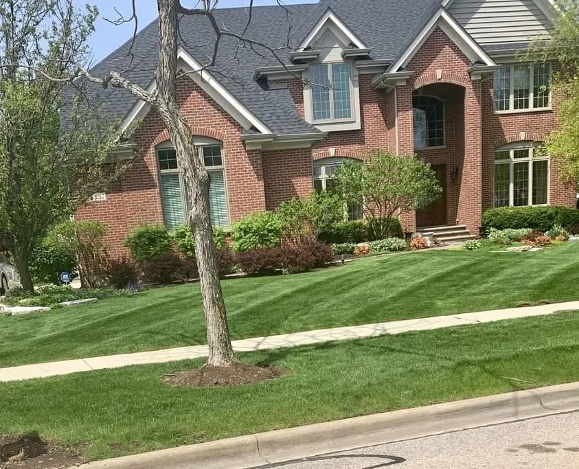 Custom garden landscaping with custom design across South Elgin, IL - Horizon Greenscape & Design