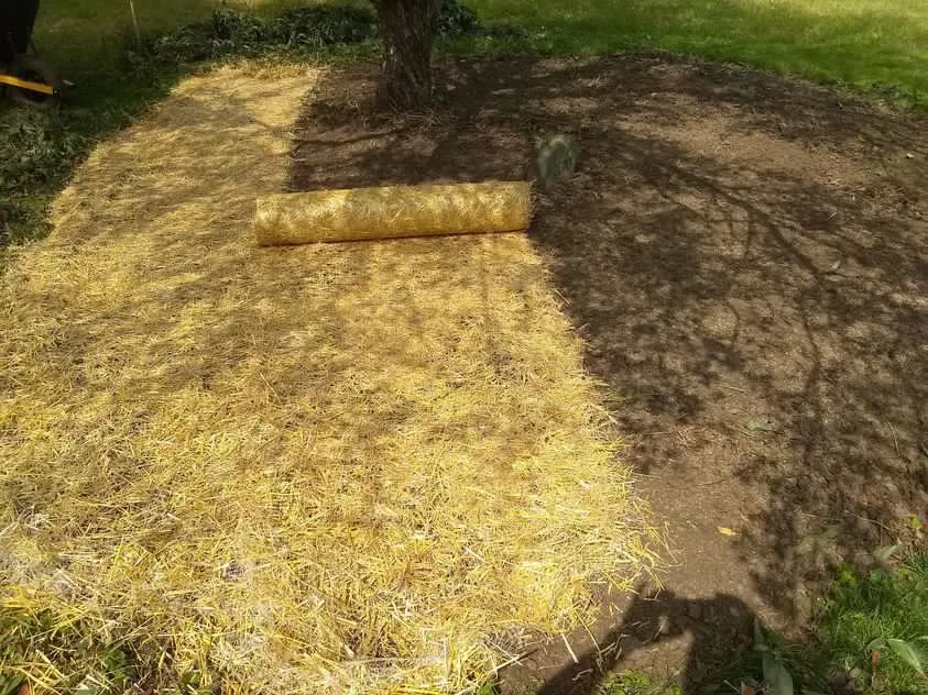 Expert landscape design for year-round maintenance in South Elgin, IL by Horizon Greenscape & Design