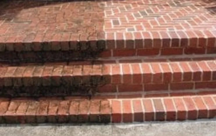 Trusted yard maintenance near you across Hopkinsville, KY - Horizon Home & Lawn