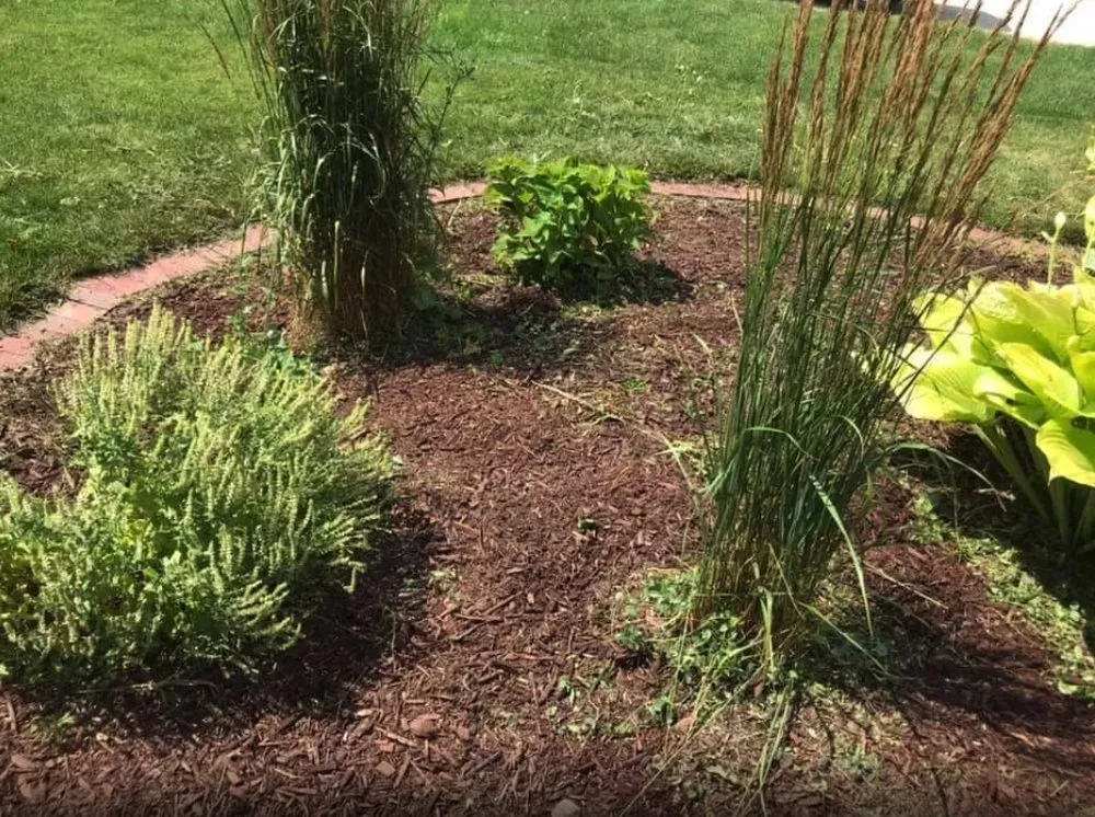 Trusted residential landscaping in Oak Lawn, IL by Horizon Land & Hardscape