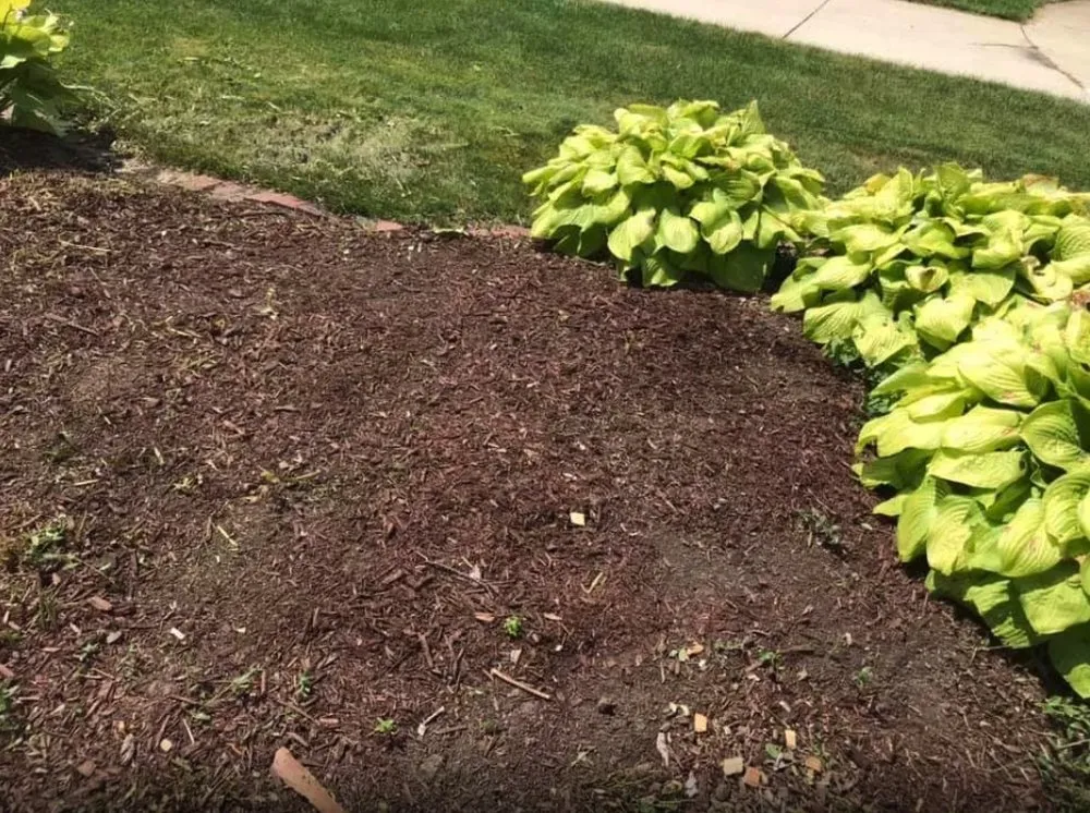 Professional landscape installation in Oak Lawn, IL by Horizon Land & Hardscape