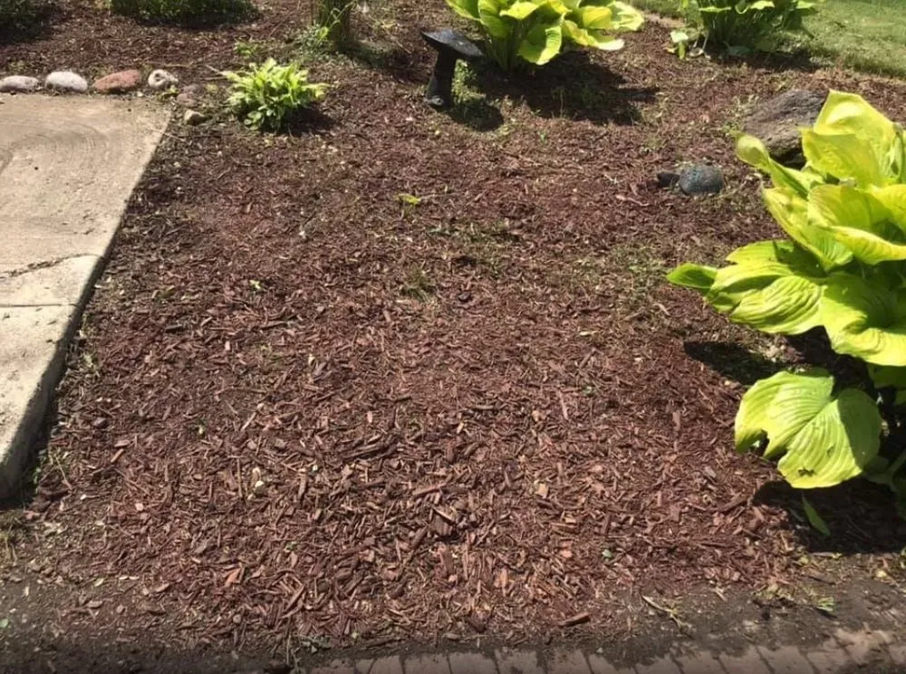 Reliable residential landscaping in Oak Lawn, IL by Horizon Land & Hardscape