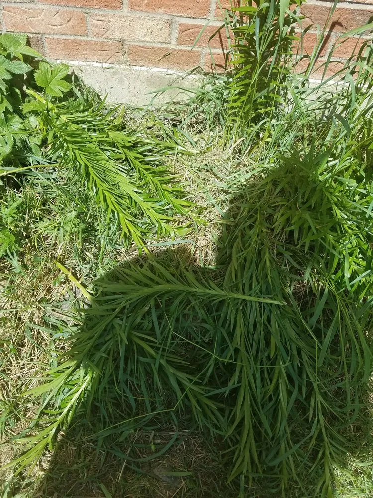 Expert outdoor landscaping experts serving Denver, CO - Horizon Landscape & Irrigation