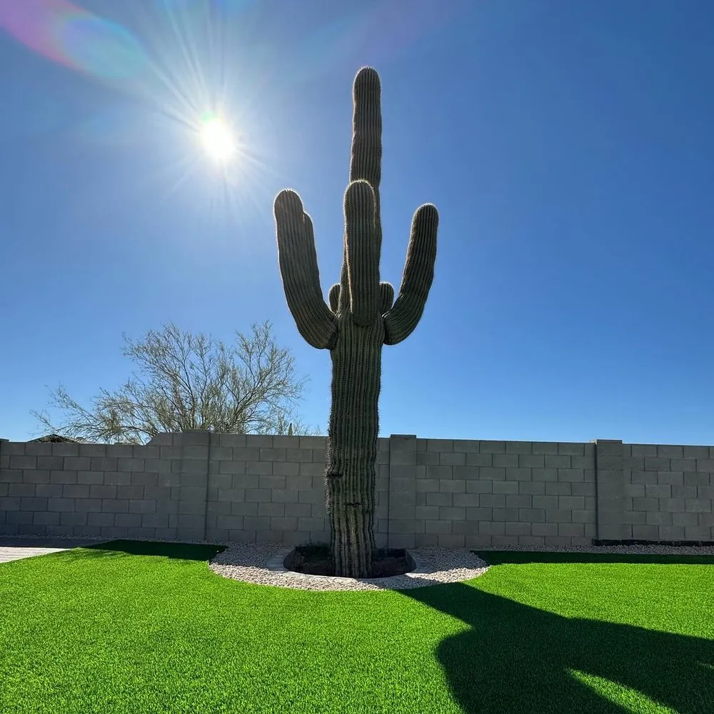 Expert landscape design for homes in Scottsdale, AZ by Horizon Landscape and Design