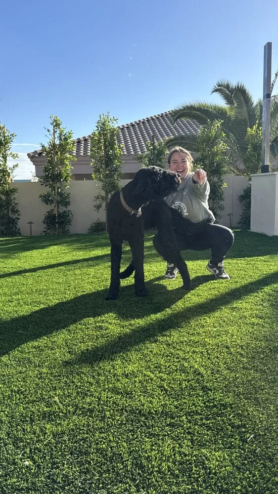 Local yard maintenance for residential properties across Scottsdale, AZ - Horizon Landscape and Design