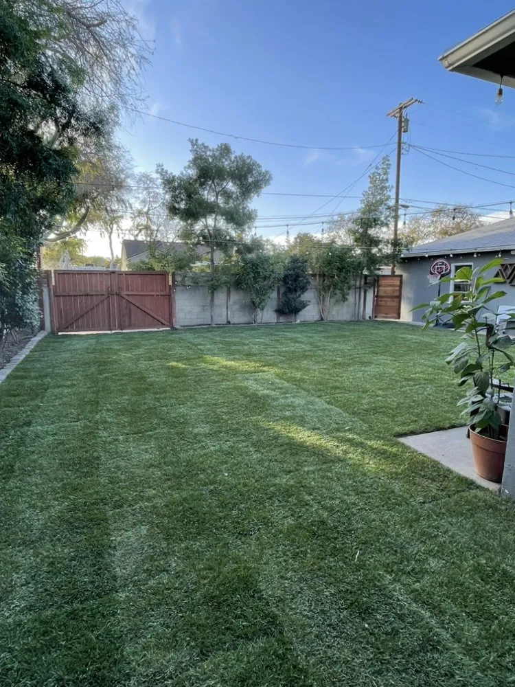 Top-rated yard maintenance for residential properties in Rancho Cucamonga, CA by Horizon Landscape