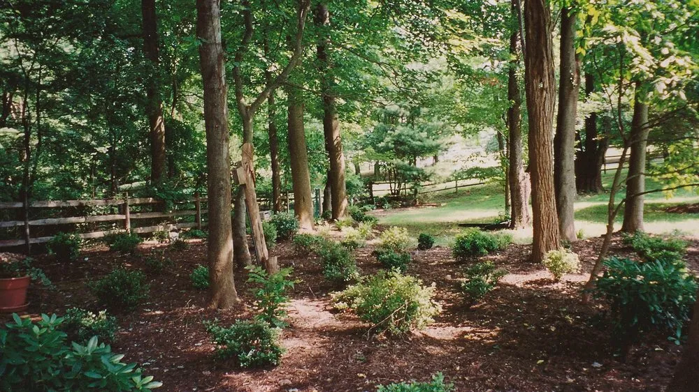 Custom landscape installation in Spencerville, MD - Horizon Landscape