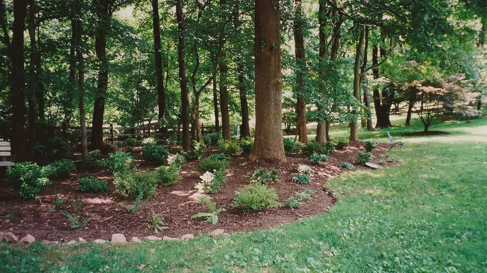 Reliable yard cleanup service for beautiful yards in Spencerville, MD by Horizon Landscape