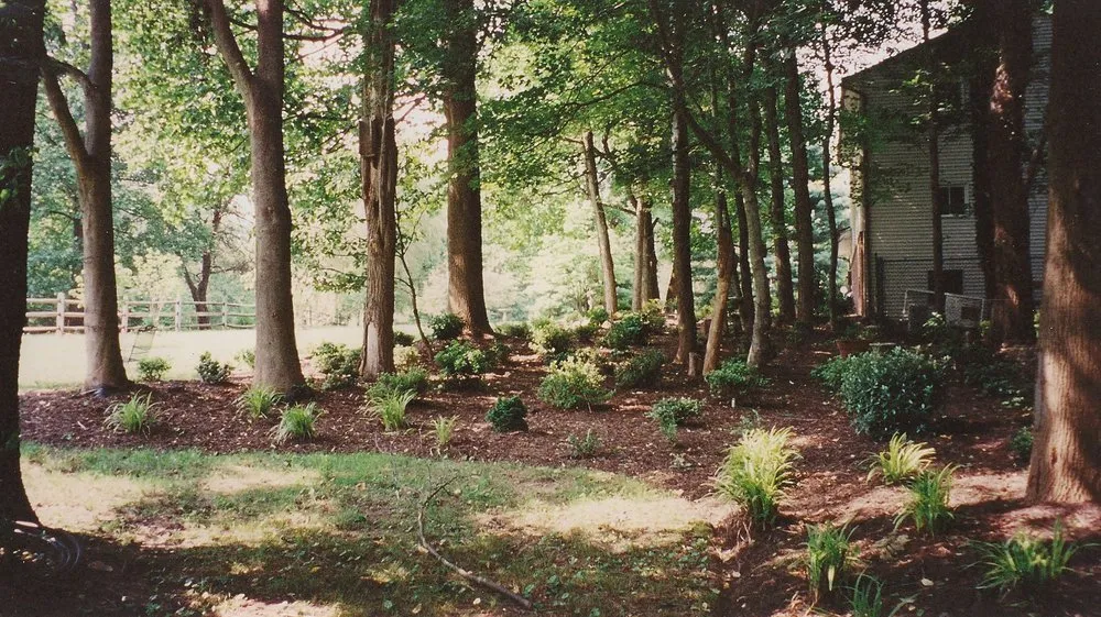 Custom lawn care service in Spencerville, MD by Horizon Landscape