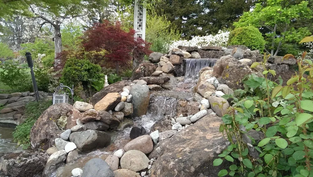 Local landscape design in Chico, CA - Horizon Landscaping