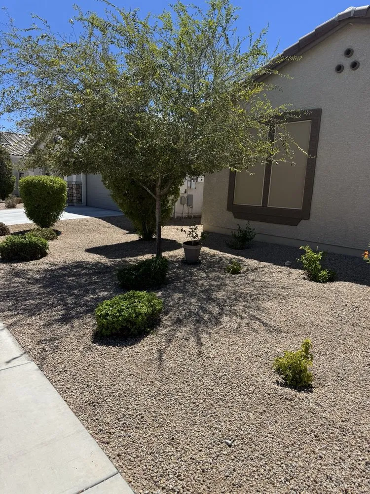 Custom garden landscaping near you in Goodyear, AZ by Horizon Landscaping