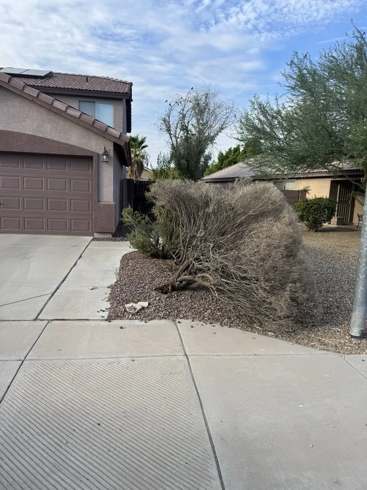 Custom garden landscaping with custom design in Goodyear, AZ by Horizon Landscaping