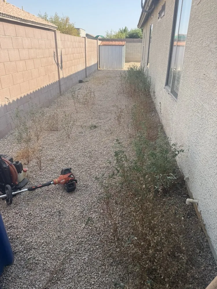 Reliable landscape design for beautiful yards in Goodyear, AZ by Horizon Landscaping