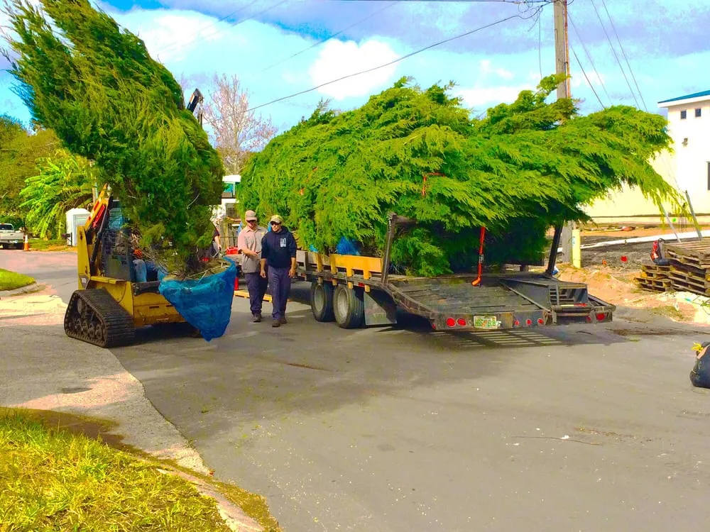 Trusted garden landscaping with custom design across Jacksonville, FL - Horizon Landscaping