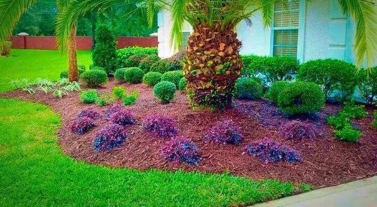 Trusted lawn care service in Jacksonville, FL by Horizon Landscaping