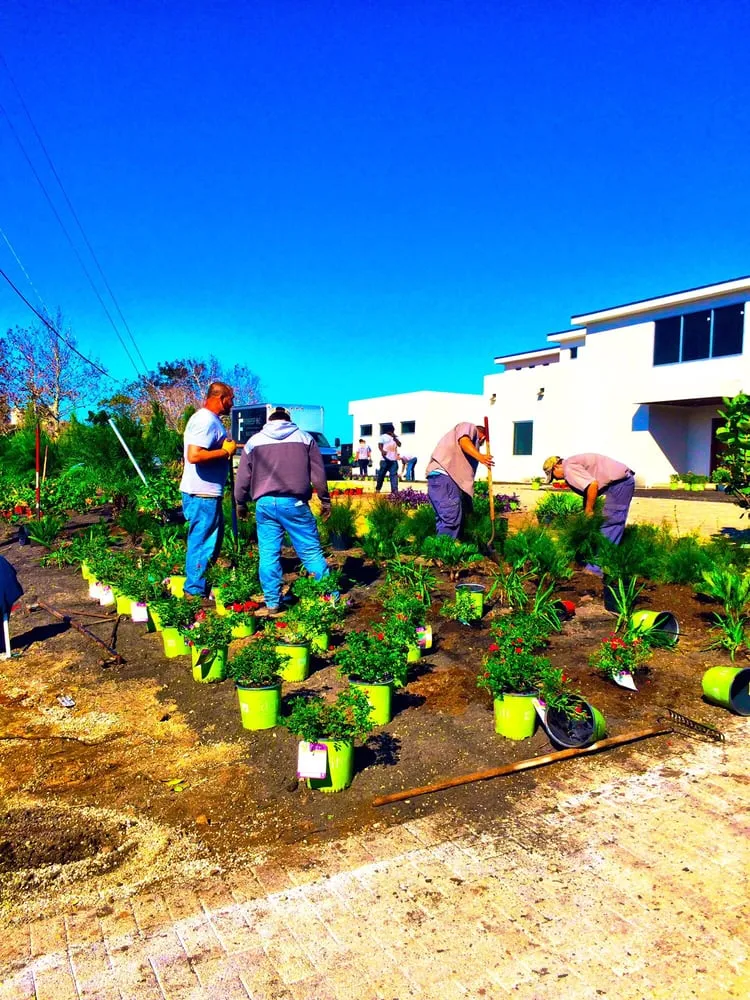 Expert landscaping services experts serving Jacksonville, FL - Horizon Landscaping